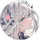 玩家头像 拾梦白菀.png