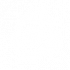 技能 维罗妮卡 铮骨 队长.png