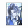 意识 庞加莱 3.png