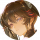 玩家头像 光耀颂赞.png