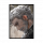 意识 圣地亚哥.png