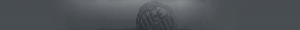 荣誉市民.png