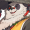 角色头像-潘引壶.png