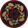 驱动盘图标-荆棘玫瑰.png