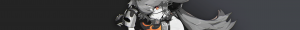 珂蕾妲的名片.png